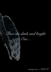 Face the dark and the bright One.... "Auch"